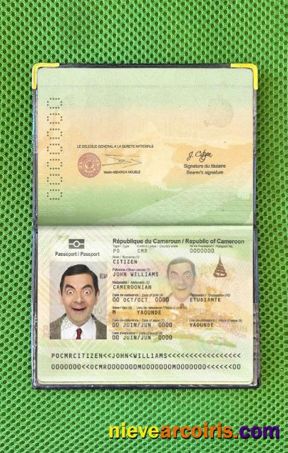 Cameroon passport photolook
